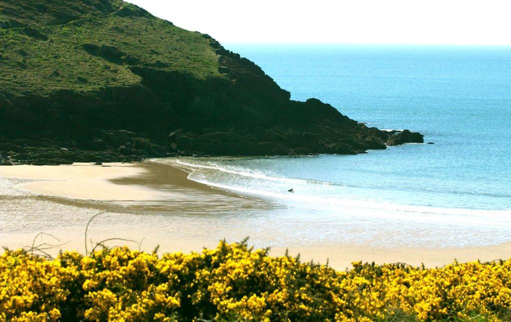 מנורבייר Castlemead Country House By The Sea מראה חיצוני תמונה